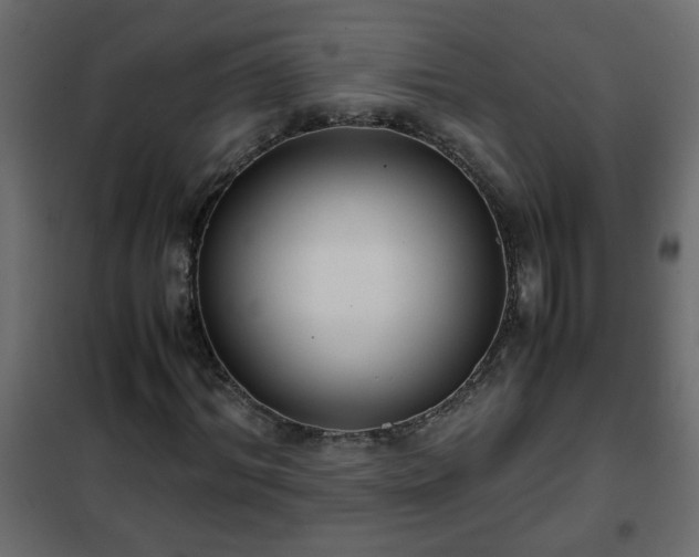 X0000102340964200808081127