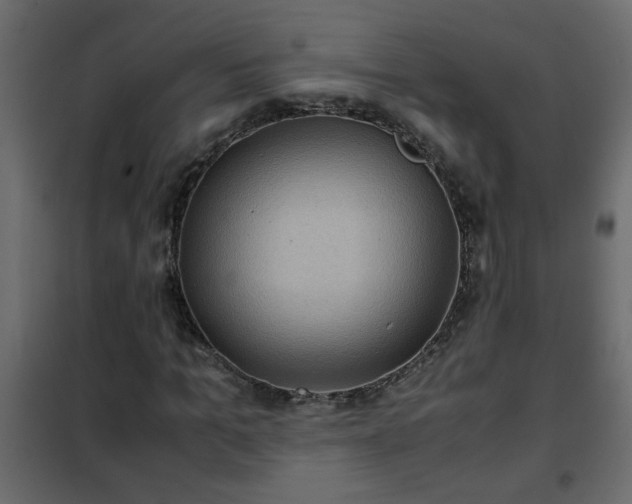 X0000102340965200808081127