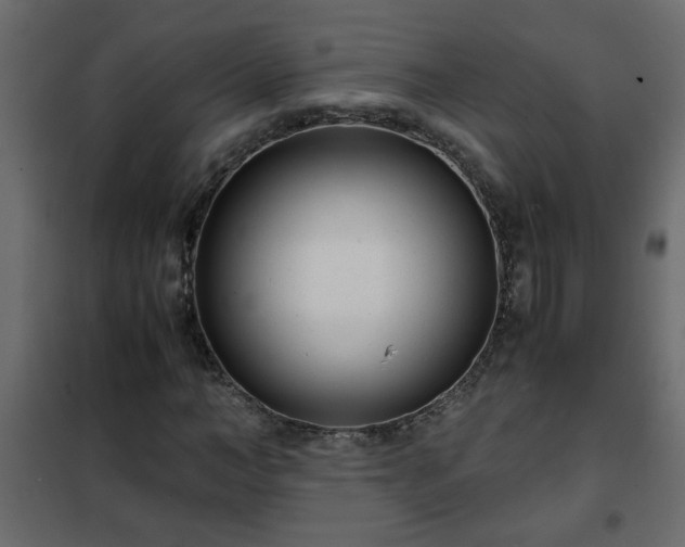 X0000102340966200808081127