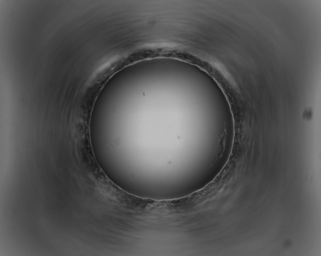 X0000102340967200808081127