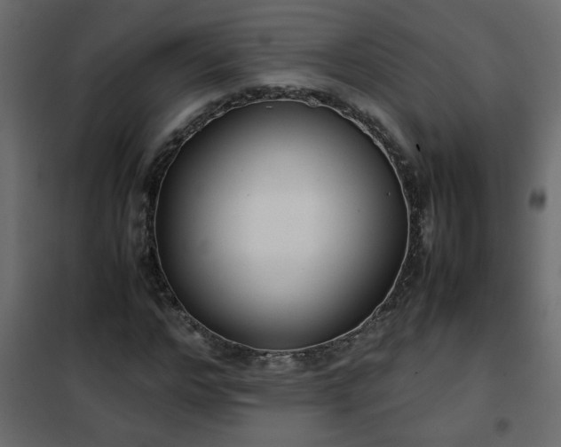 X0000102340968200808081127