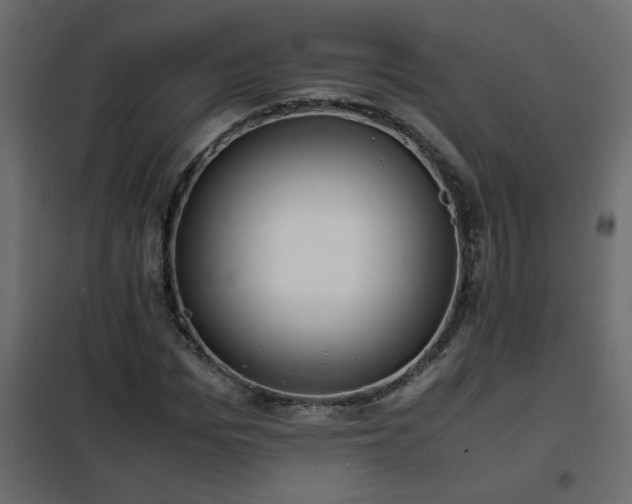 X0000102340969200808081127