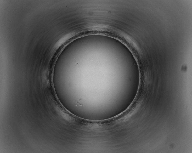 X0000102340970200808081127