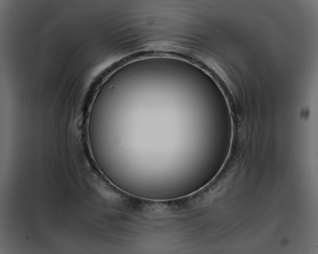 X0000102340971200808081127