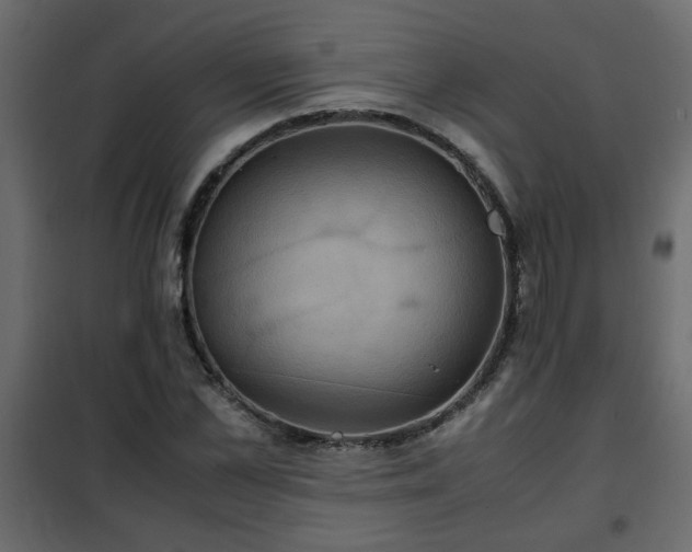 X0000102340973200808081127