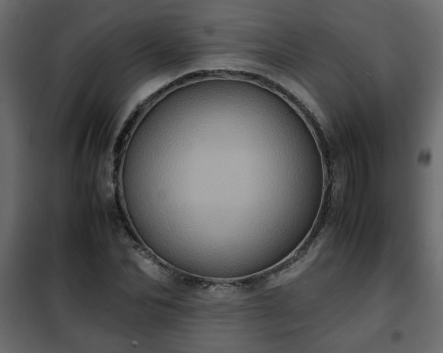 X0000102340974200808081127