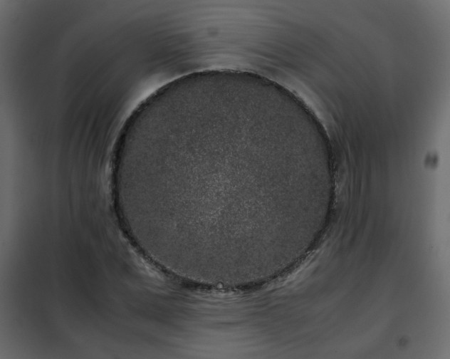 X0000102340975200808081127