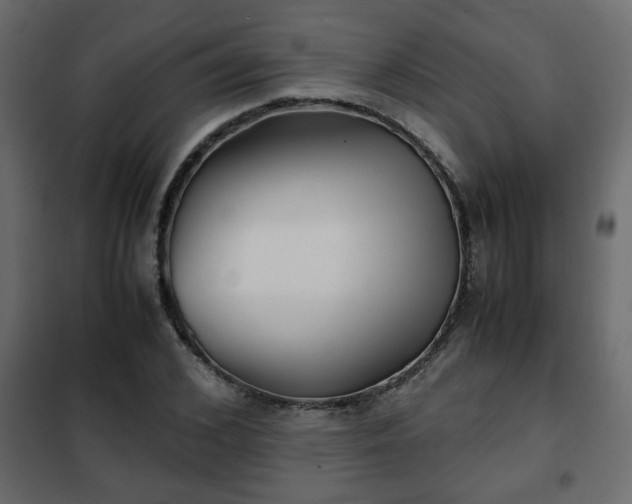 X0000102340976200808081127