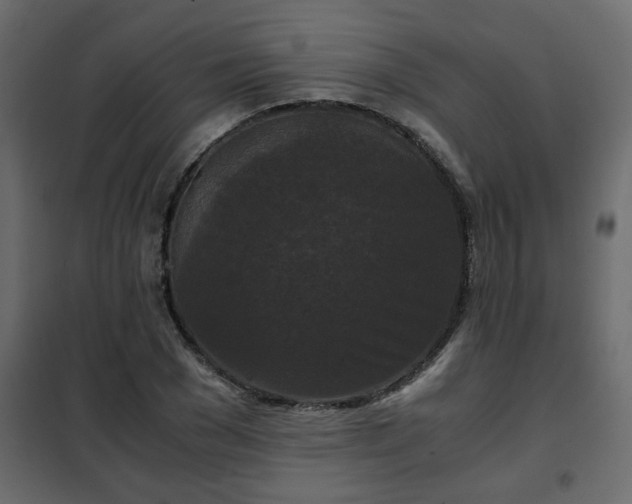 X0000102340977200808081127