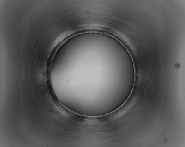 X0000102340978200808081127