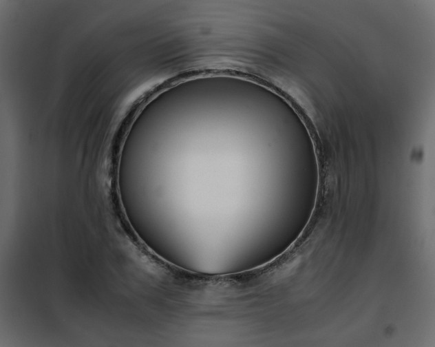 X0000102340979200808081127