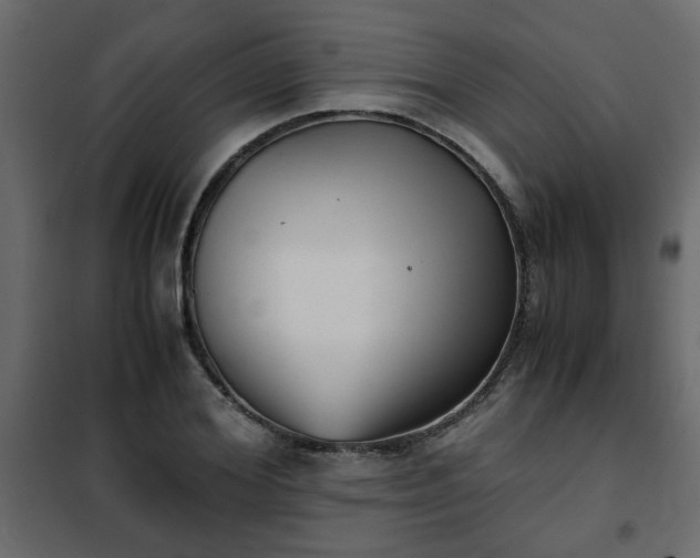 X0000102340980200808081127