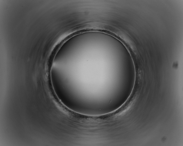 X0000102340981200808081127