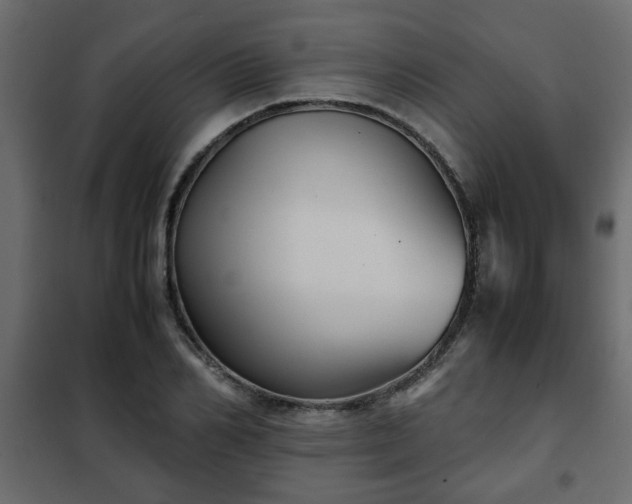 X0000102340982200808081127