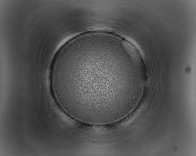 X0000102340983200808081127