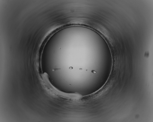 X0000102340984200808081127