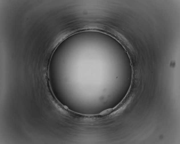 X0000102340985200808081127