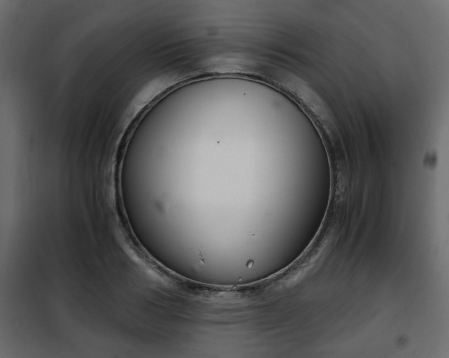 X0000102340986200808081127