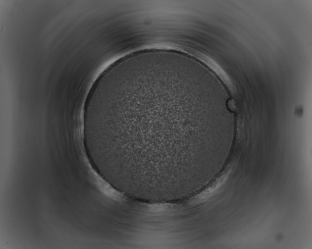 X0000102340988200808081127