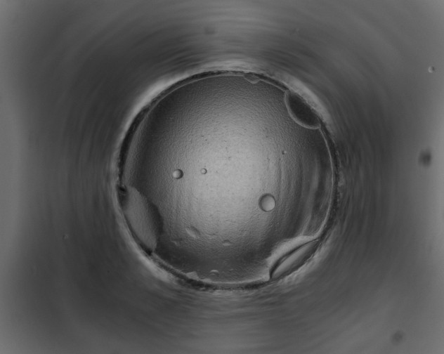 X0000102340989200808081127