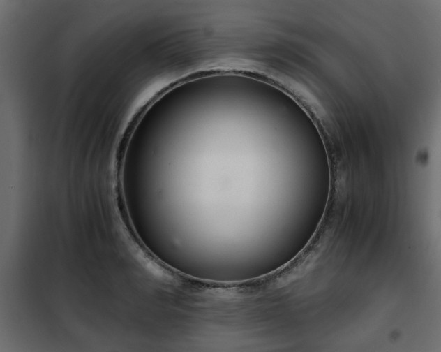 X0000102340990200808081127