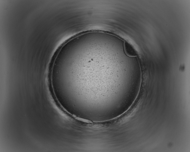 X0000102340991200808081127