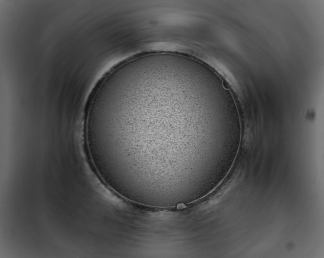 X0000102340992200808081127