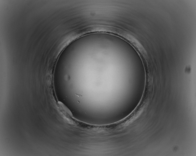 X0000102340993200808081127