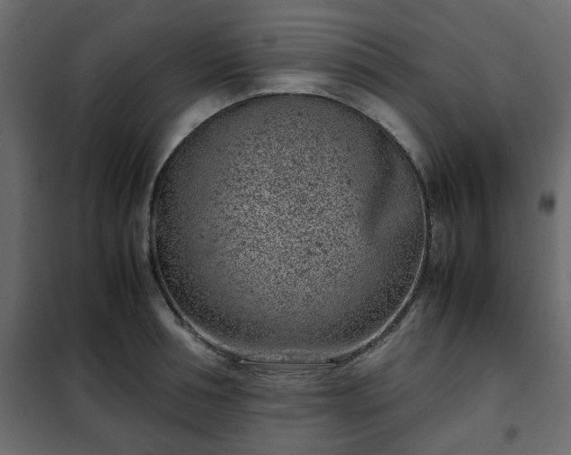 X0000102340994200808081126