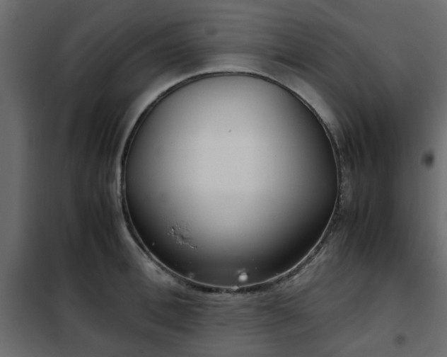 X0000102340996200808081126