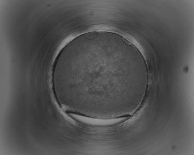 X0000102340997200808081126