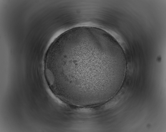 X0000102340998200808081126