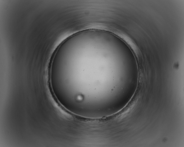 X0000102340999200808081126