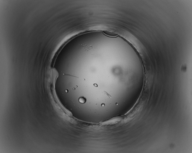 X0000102341000200808081126