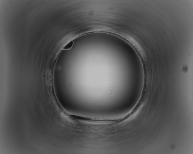 X0000102341001200808081126