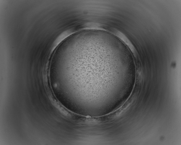 X0000102341002200808081126