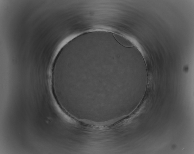 X0000102341003200808081126