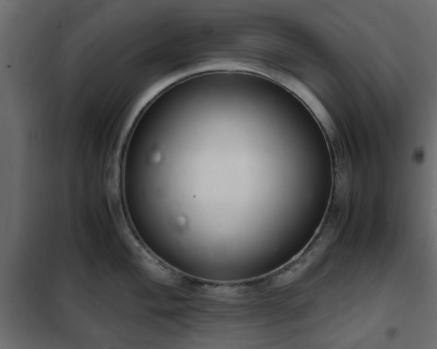 X0000102341004200808081126