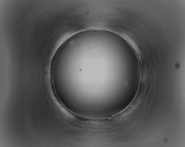 X0000102341005200808081126