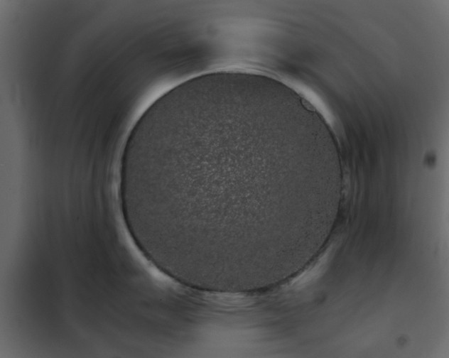 X0000102341007200808081126