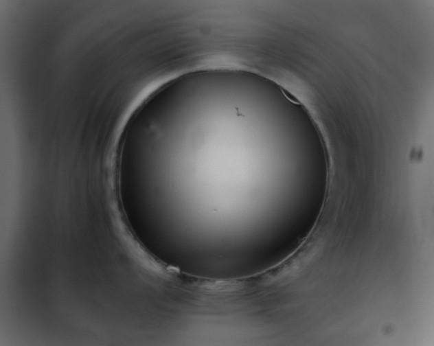 X0000102341008200808081126