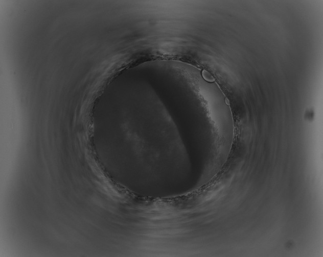 X0000102341009200808081126