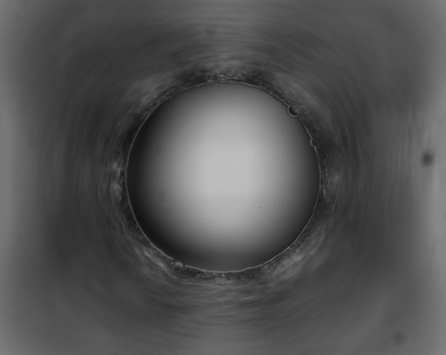 X0000102341010200808081126