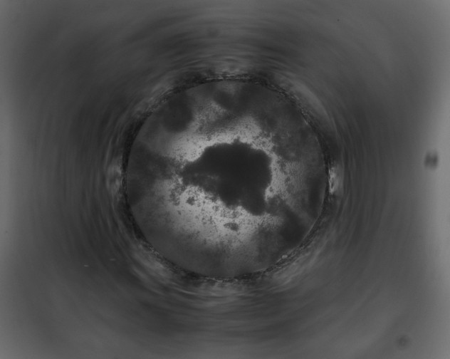 X0000102341011200808081126