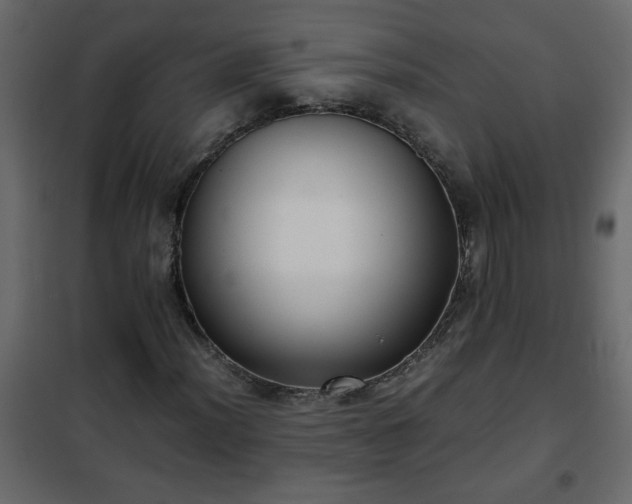 X0000102341012200808081126