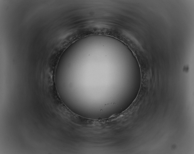 X0000102341013200808081126