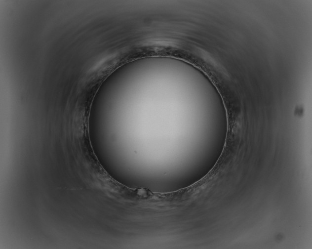 X0000102341014200808081126