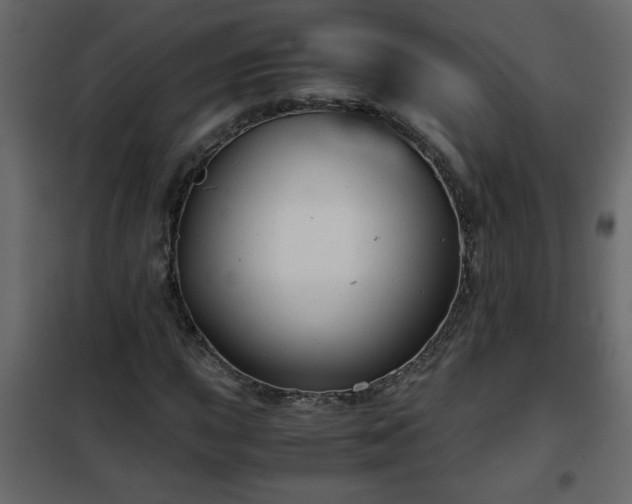 X0000102341015200808081126