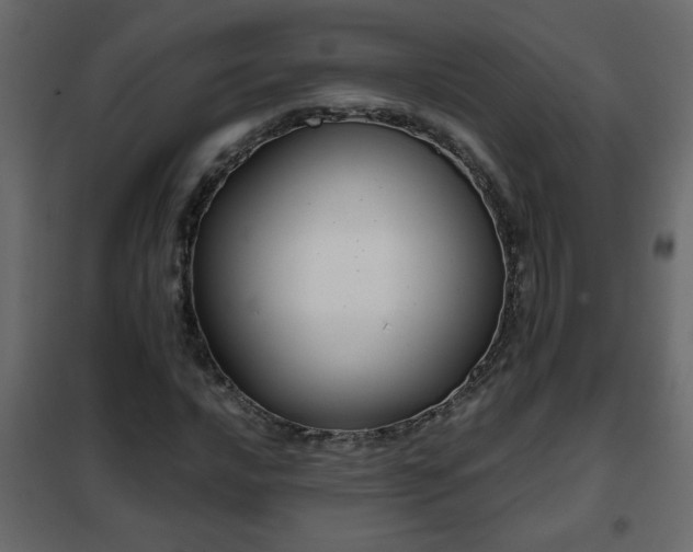 X0000102341016200808081126