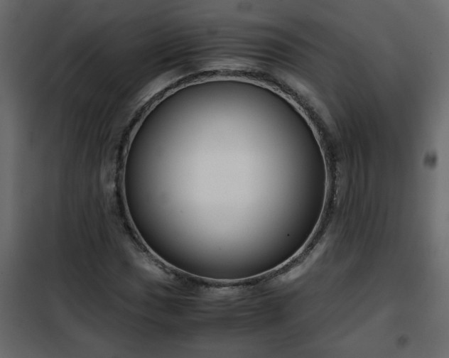 X0000102341017200808081126